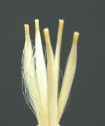 keration hair extensions