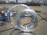 single-row cylindrical roller bearings
