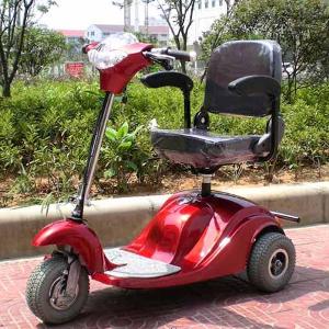 Electric Mobility Trike