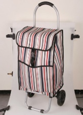 Trolley Bag
