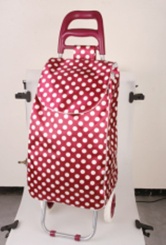 Trolley Bag