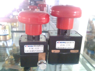 Battery disconnect switch