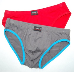 Mens Underpants > Mens Briefs