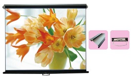 electronic projection screen