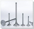 engine valve 