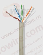 Cat5e UTP Network Cable