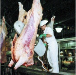 Cattle Abattoir (slaughter) Half Carcass Band Splitting Saw