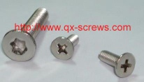 flat head torx machine screw
