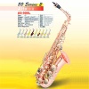 Selmer Style Alto Saxophone