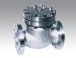 Swing Check Valve