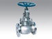 globe valve