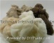 Cashmere fibre, Camel hair, wool - Fibre
