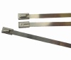 STAINLESS STEEL CABLE TIES - RCT