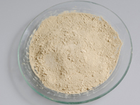Carnosic acid powder