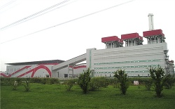 Thermal/biomass power plant