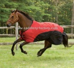 horse rug,horse blanket.saddlery,equestrian - horse rug