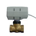 electric actuator and two way valve