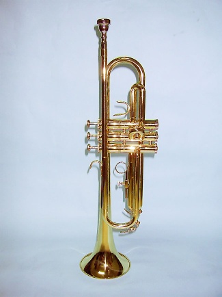 Trumpet Horn - TSH-730L
