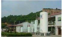 South China Special Gas Institute Co., Ltd