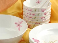 21pcs of beauty's tableware