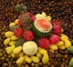 ShineTrade Marketing