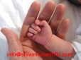 ivf procedure,ivf cost, ivf forum,ivf costs,ivf process,ivf pregnancy