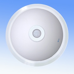 PIR ceiling lamp