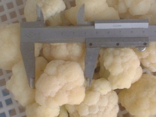frozen cauliflower cube