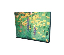 Litile 34 - Sunlight readable and high resolution Videowall