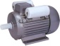 YL series single-phase dual-capacitor induction motor