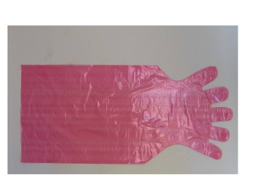 disposable glove