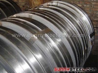 COLD ROLLED STRIP STEEL