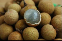 Longan