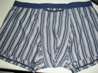 Underwear(DX LE-05) - Underwear