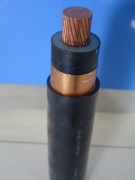 Copper Conductor XLPE Insulated PVC Sheathed Power Cable