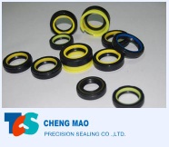 Power Steering Seals