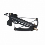 Little black panther