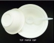 Biodegradable Tableware