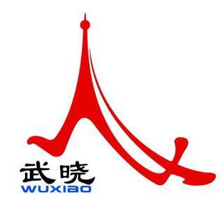 Qingdao Wuxiao Group Co., Ltd