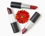 OEM & ODM Color Cosmetics for Lip - BLPS