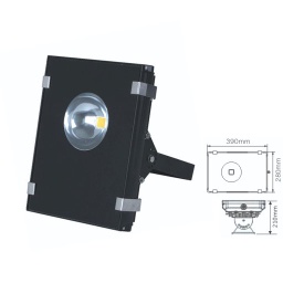 New model 50W Cob led floodlight,led outdoor light