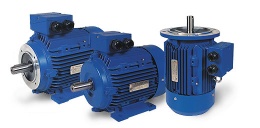 MS Series AC High-Efficiency Three Phase Aluminium Housing TEFC Electric Motor