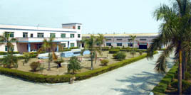 Universal Office Furniture Factory