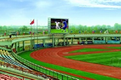 stadium LED Screen
