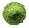 Matcha Green Tea- Ceremony Grade - MTP01