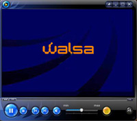 Shenzhen Walsa Electronics Technology CO.,Ltd