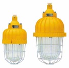 explosion proof  lamp