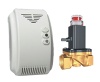 combustible gas detector and valve