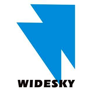 Wideskycn International Ltd.
