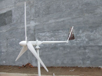 First  Renewable  Energy Group Limited